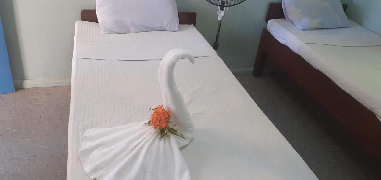 Rekona Lodge غيزو المظهر الخارجي الصورة